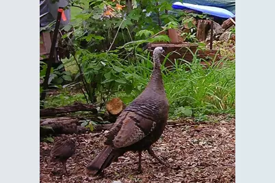 6466 Stillwater Boulevard N, Oakdale, MN 55128 - Photo 48