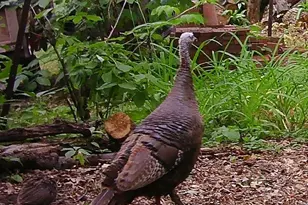 6466 Stillwater Blvd N, Oakdale, MN 55128 - Photo 48