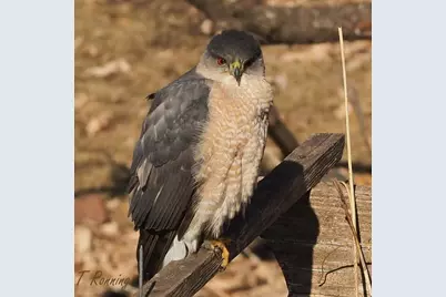 6466 Stillwater Boulevard N, Oakdale, MN 55128 - Photo 46