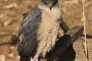 6466 Stillwater Blvd N, Oakdale, MN 55128 - Photo 46