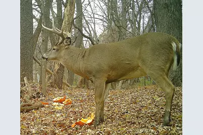 6466 Stillwater Boulevard N, Oakdale, MN 55128 - Photo 50
