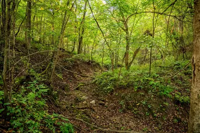 32765 County Road 1, La Crescent, MN 55947 - Photo 6