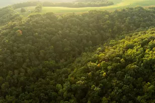 32979 County Rd 1, La Crescent, MN 55947 - Photo 56