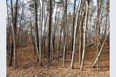 Tbd Summer Drive, Breezy Point, MN 56472 - Photo 8