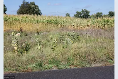 1141 178th St./Dalton Farm Road, Lot 19, Hammond, WI 54015 - Photo 1