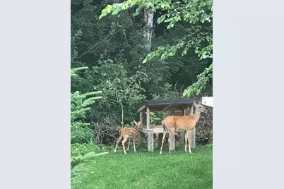 17990 Nixon Drive NW, Elk River, MN 55330 - Photo 58