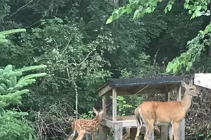 17990 Nixon Dr NW, Elk River, MN 55330 - Photo 58