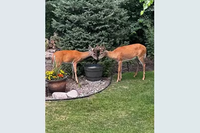 17990 Nixon Drive NW, Elk River, MN 55330 - Photo 54