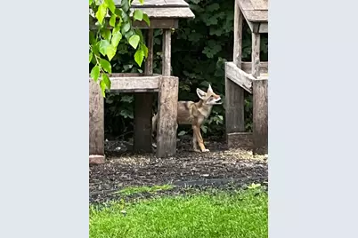 17990 Nixon Drive NW, Elk River, MN 55330 - Photo 56