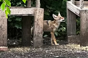 17990 Nixon Dr NW, Elk River, MN 55330 - Photo 56