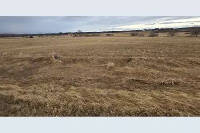 Lot 1 Rush Lake Trail, Braham, MN 55006 - Photo 4