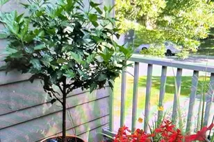 14618 Hampshire Pl, Burnsville, MN 55306 - Photo 30