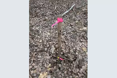 5814 36th Street NW, Akeley, MN 56433 - Photo 14