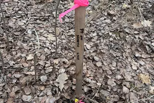 5814 36th St NW, Akeley, MN 56433 - Photo 14