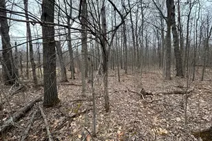 5814 36th St NW, Akeley, MN 56433 - Photo 12