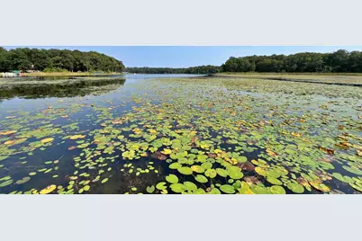 22835 Osprey Road, Deerwood, MN 56444 - Photo 38