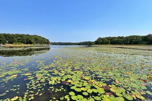 22835 Osprey Rd, Deerwood, MN 56444 - Photo 38