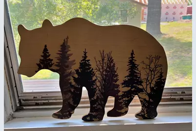 22835 Osprey Road, Deerwood, MN 56444 - Photo 24