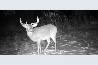 County Road M County Road M, Osceola, WI 54020 - Photo 18
