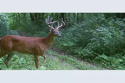 County Road M County Road M, Osceola, WI 54020 - Photo 2