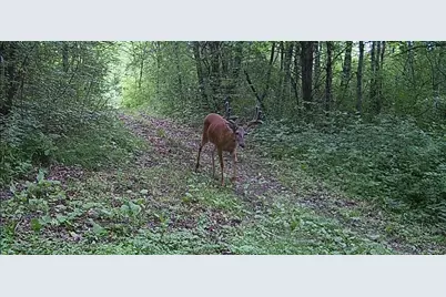 County Road M County Road M, Osceola, WI 54020 - Photo 8