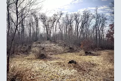 County Road M County Road M, Osceola, WI 54020 - Photo 12