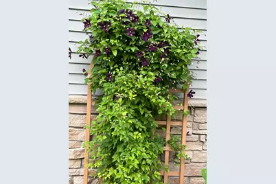 1132 Bay Drive SE, Forest Lake, MN 55025 - Photo 8