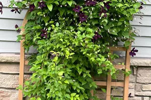 1132 Bay Dr SE, Forest Lake, MN 55025 - Photo 8