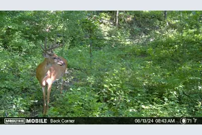 W4824 Puent Road, La Crosse, WI 54601 - Photo 16