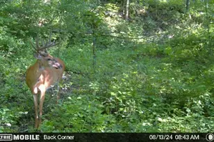 W4824 Puent Rd, La Crosse, WI 54601 - Photo 16