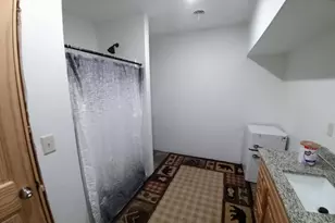 50164 County 29, Bemidji, MN 56601 - Photo 48