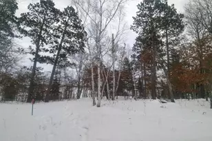 50164 County 29, Bemidji, MN 56601 - Photo 64