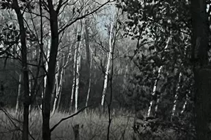 6323 Red Maple Ln, Lino Lakes, MN 55014 - Photo 48