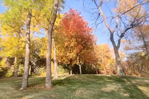 32331 Loon Dr, Vergas, MN 56587 - Photo 42