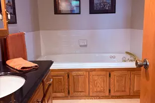 12617 Old N Shore Dr, Spicer, MN 56288 - Photo 14