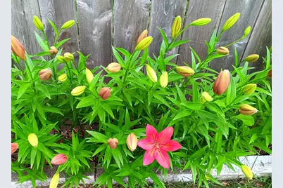 3210 W 110th Street, Bloomington, MN 55431 - Photo 40