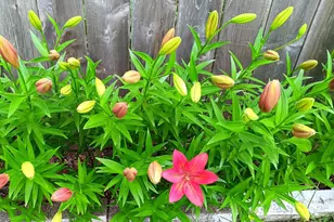 3210 W 110th St, Bloomington, MN 55431 - Photo 40