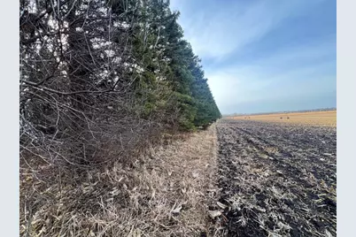 Tbd 120th St SW, Milan, MN 56262 - Photo 32