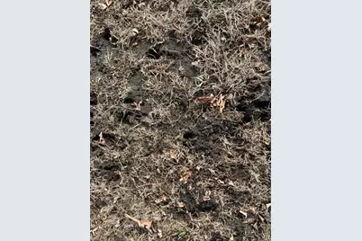 Tbd 120th St SW, Milan, MN 56262 - Photo 28