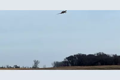 Tbd 120th St SW, Milan, MN 56262 - Photo 38