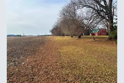 Tbd 120th St SW, Milan, MN 56262 - Photo 26