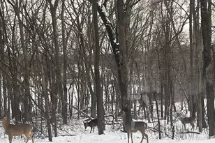 11973 Grey Cloud Trail S, Cottage Grove, MN 55016 - Photo 12