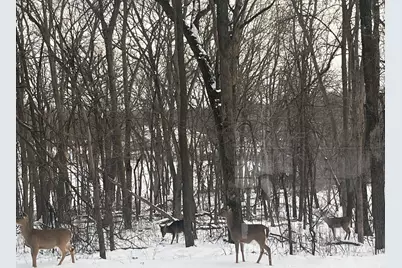 Tbd Grey Cloud Trail S, Cottage Grove, MN 55016 - Photo 24