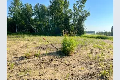Tbd Co Hwy 71, Wadena, MN 56482 - Photo 6