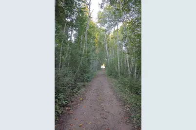 27230 Bayshore Drive, Isanti, MN 55040 - Photo 6