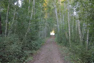 27230 Bayshore Dr, Isanti, MN 55040 - Photo 6