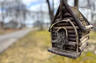 10532 Jurgen Nash Dr, Garrison, MN 56450 - Photo 76