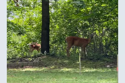 51Xx Waterbury Road, Mound, MN 55364 - Photo 26