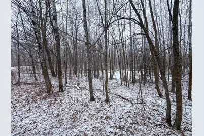 Tbd 181st Avenue, Clearbrook, MN 56634 - Photo 12