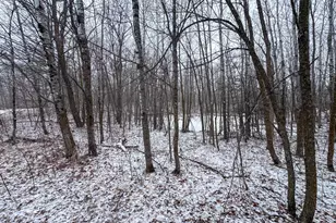 Tbd 181st Ave, Clearbrook, MN 56634 - Photo 12